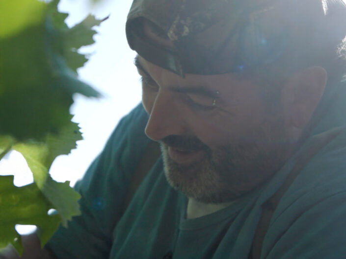 SVLFG – Social Media Reels für Saisonarbeitskräfte